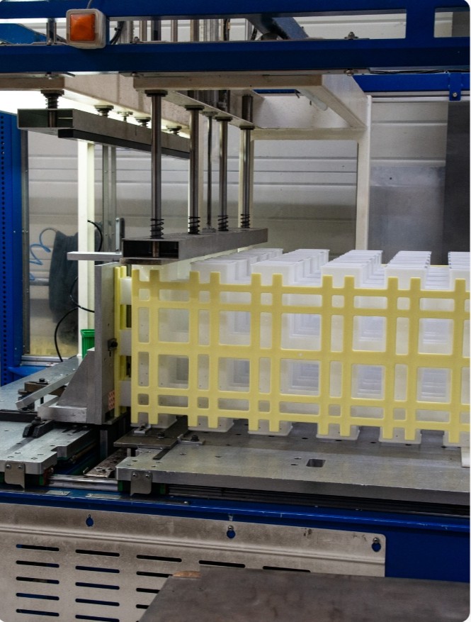 Développement spécifique